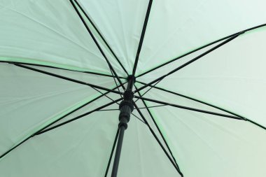 Açık yeşil şemsiye arkaplan yüzeyi