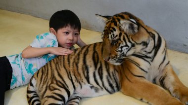 Mutlu şirin çocuk hayvanat bahçesinde kaplan yavrusuna sarıl