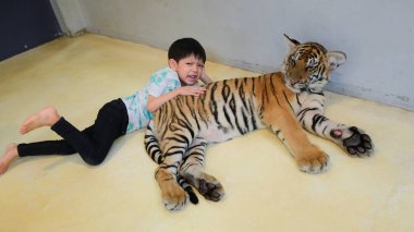 Mutlu şirin çocuk hayvanat bahçesinde kaplan yavrusuna sarıl