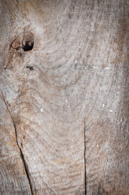 dirty brown old wood texture, timber plank background