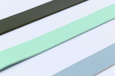 Beyaz arka planda izole edilmiş renkli deri kayış.