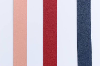 Beyaz arka planda izole edilmiş renkli deri kayış.