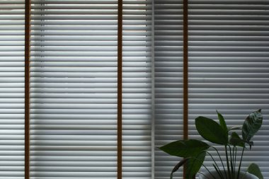 white window blinds and green leaf in home, object for decorate interior of house
