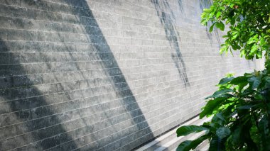 Bahçedeki yeşil ağaç merdiven, dış tasarım