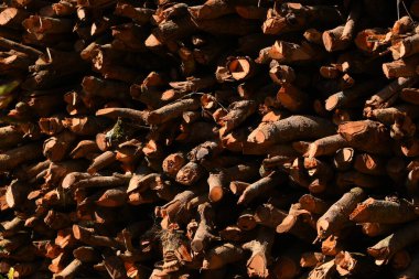 Kır evinde güneş ışığı ve yakacak odunları olan odun yığını.