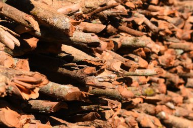 Kır evinde güneş ışığı ve yakacak odunları olan odun yığını.
