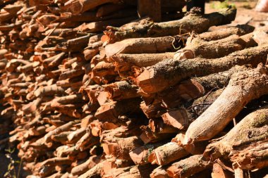 Kır evinde güneş ışığı ve yakacak odunları olan odun yığını.