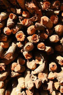 Kır evinde güneş ışığı ve yakacak odunları olan odun yığını.