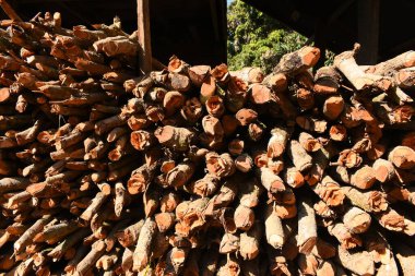 Kır evinde güneş ışığı ve yakacak odunları olan odun yığını.