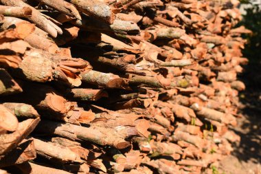 Kır evinde güneş ışığı ve yakacak odunları olan odun yığını.