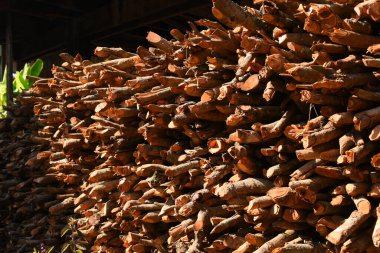 Kır evinde güneş ışığı ve yakacak odunları olan odun yığını.