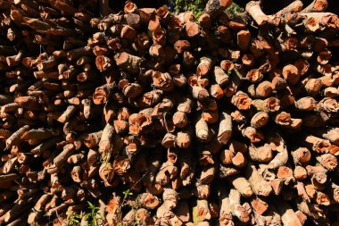Kır evinde güneş ışığı ve yakacak odunları olan odun yığını.