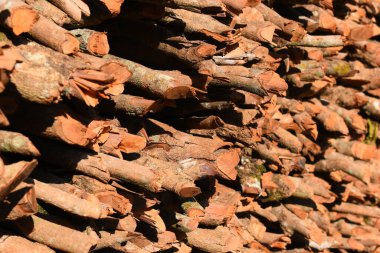 Kır evinde güneş ışığı ve yakacak odunları olan odun yığını.