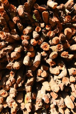 Kır evinde güneş ışığı ve yakacak odunları olan odun yığını.