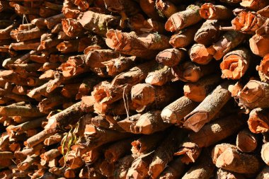 Kır evinde güneş ışığı ve yakacak odunları olan odun yığını.