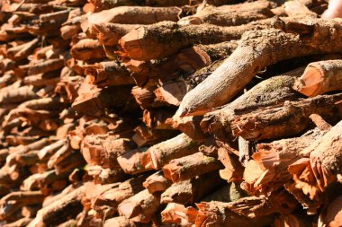 Kır evinde güneş ışığı ve yakacak odunları olan odun yığını.