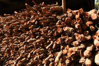 Kır evinde güneş ışığı ve yakacak odunları olan odun yığını.