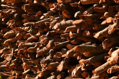 Kır evinde güneş ışığı ve yakacak odunları olan odun yığını.