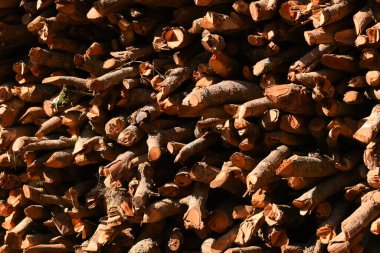 Kır evinde güneş ışığı ve yakacak odunları olan odun yığını.