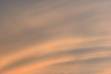 güzel altın gökyüzü ve beyaz bulut arkaplanı ilkbaharda