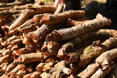 Kır evinde güneş ışığı ve yakacak odunları olan odun yığını.