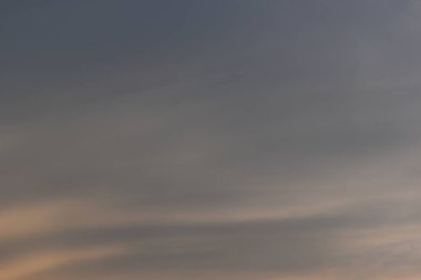 güzel altın gökyüzü ve beyaz bulut arkaplanı ilkbaharda