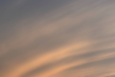 güzel altın gökyüzü ve beyaz bulut arkaplanı ilkbaharda