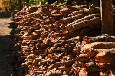 Kır evinde güneş ışığı ve yakacak odunları olan odun yığını.