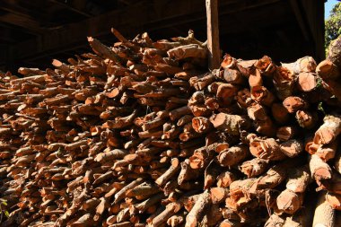 Kır evinde güneş ışığı ve yakacak odunları olan odun yığını.