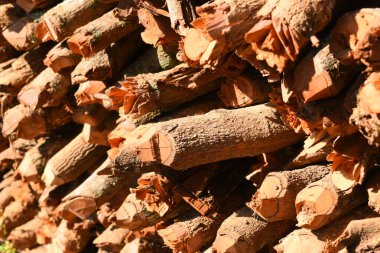 Kır evinde güneş ışığı ve yakacak odunları olan odun yığını.