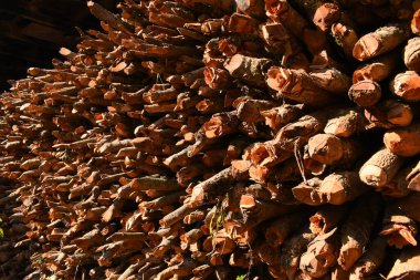 Kır evinde güneş ışığı ve yakacak odunları olan odun yığını.