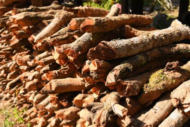 Kır evinde güneş ışığı ve yakacak odunları olan odun yığını.