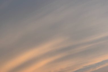 güzel altın gökyüzü ve beyaz bulut arkaplanı ilkbaharda