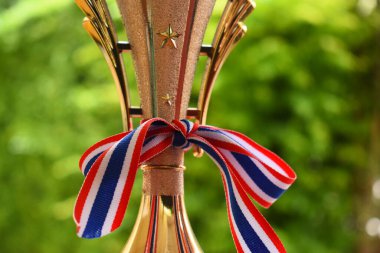 Yeşil ağaç zemininde Tayland ve kurdeleli güzel altın kupa