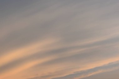 güzel altın gökyüzü ve beyaz bulut arkaplanı ilkbaharda