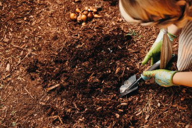 Kız laleleri dikmek için kazıyor. Yüksek kalite fotoğraf. Küçük kızların elleri bahçe küreğiyle. Yaz mevsimi