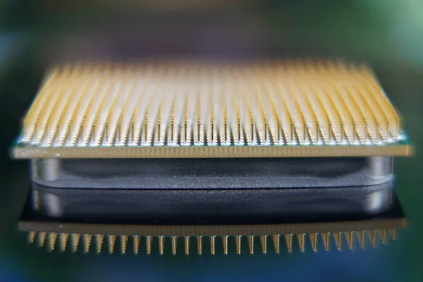 stock image Plose-up photo of a desktop processor. Processor contact pins