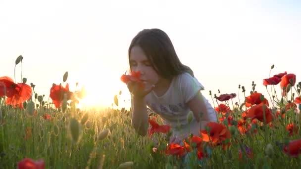 Dziewczyna Wąchanie Maku Kwiat Polu Zwolniony Ruch — Wideo stockowe