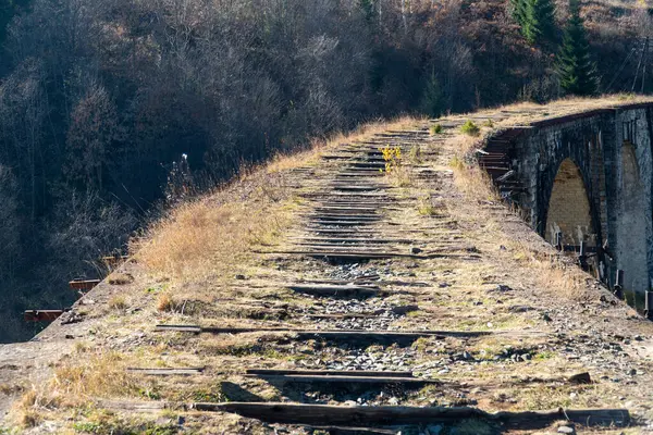 Verlassenes Eisenbahnviadukt Den Karpaten — Stockfoto