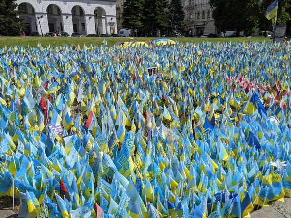 stock image many flags of Ukraine on Independence Square, Kyiv