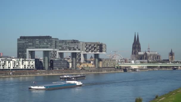 Uszályok Lebegnek Rajna Folyón Kölnben Kilátás Városra Kranhaus Köln Katedrális — Stock videók