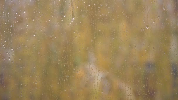窓ガラスに雨が降った ウィンドウの外側のぼやけた背景 — ストック動画
