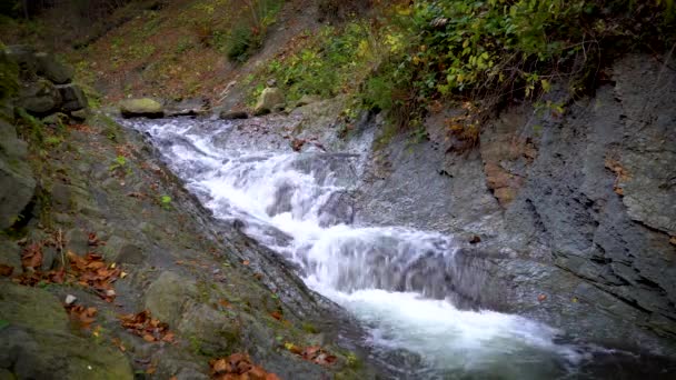 喀尔巴阡山脉的山区河流瀑布 秋季季节 — 图库视频影像