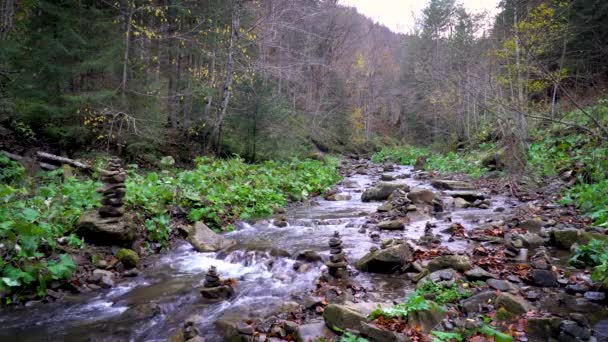 Mountain River Cascade Carpathian Autumn Season — Stock Video