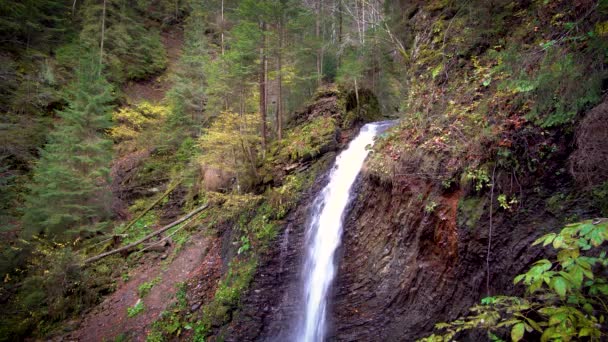 Waterfall Mountains Seething Stream Mountain River Falls — Stock Video