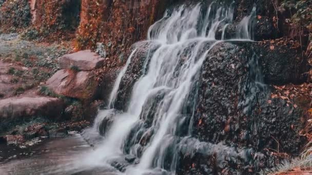 瀑布落在石头和植被之间 山河的奔流奔流而下 — 图库视频影像