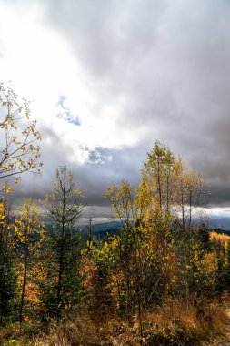 Manzaralı renkli dağ manzarası. Sonbaharda Karpat Dağları 'nın manzarası. Gökyüzündeki bulutlar