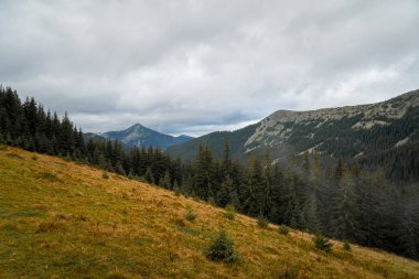 Manzaralı renkli dağ manzarası. Sonbaharda Karpat Dağları 'nın manzarası. Gökyüzündeki bulutlar