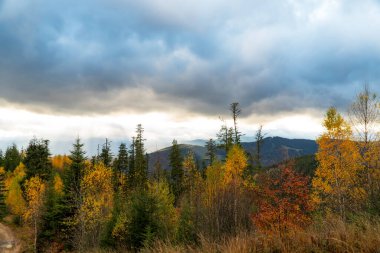 Manzaralı renkli dağ manzarası. Sonbaharda Karpat Dağları 'nın manzarası. Gökyüzündeki bulutlar