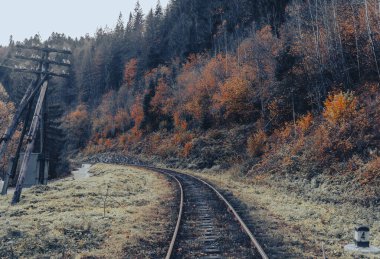 Sonbaharda Karpat Dağları 'nda demiryolu rayları uzanıyor.